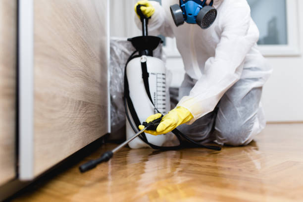 Best Pest Inspection Near Me  in West Canton, NC