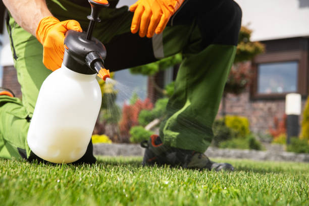Best Best Pest Control Companies  in West Canton, NC