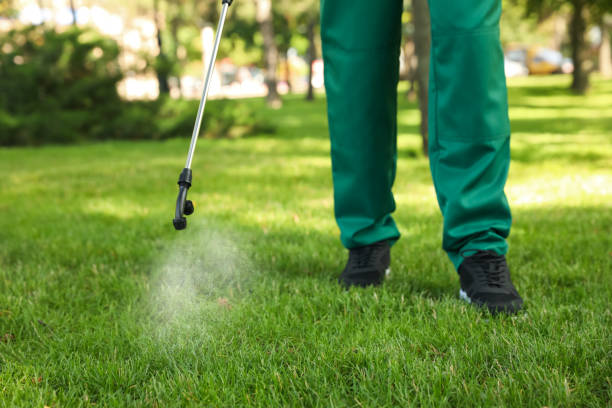 Best Mosquito Control Services  in West Canton, NC