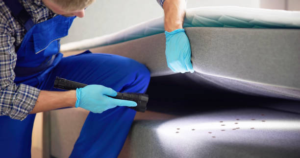 Best Exterminator Services  in West Canton, NC