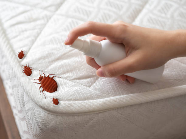 Best Pest Inspection Near Me  in West Canton, NC