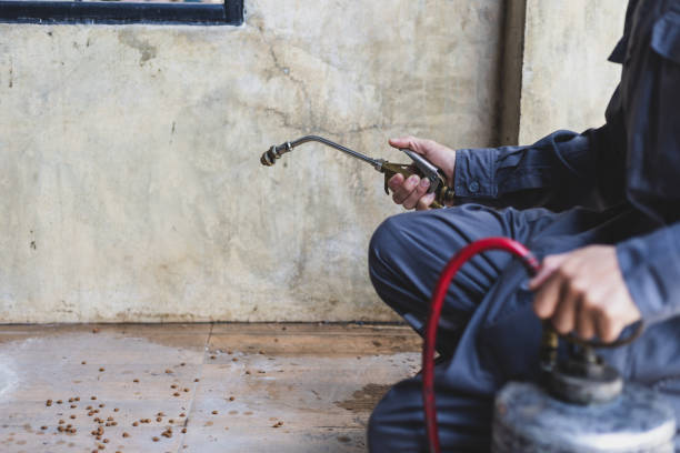 Best Local Pest Control Services  in West Canton, NC